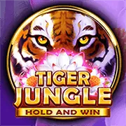 Hoàn tất giao dịch và xác nhận df999 Casino