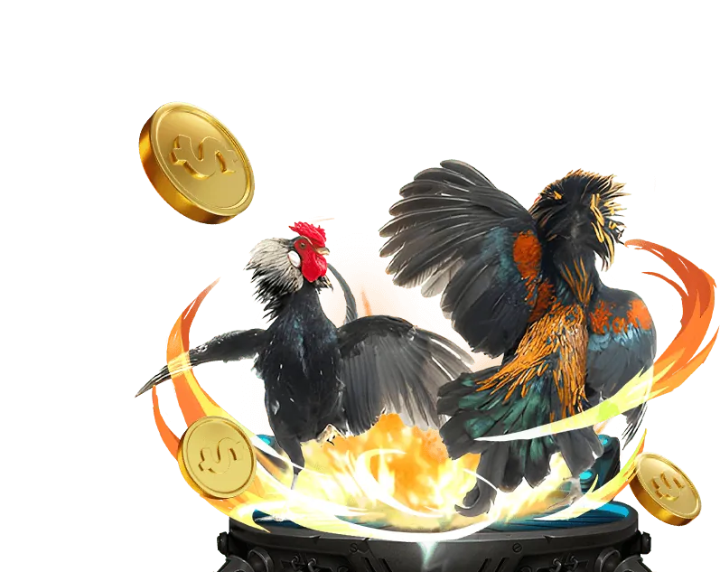 Sòng bạc trực tiếp df999 Casino